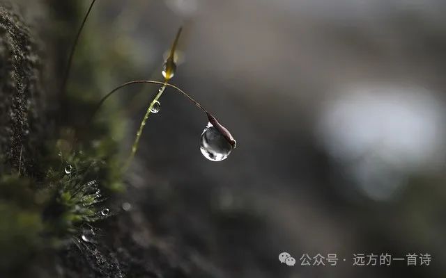 副业赚钱_中视频项目拆解：一条赚1000_副业教程