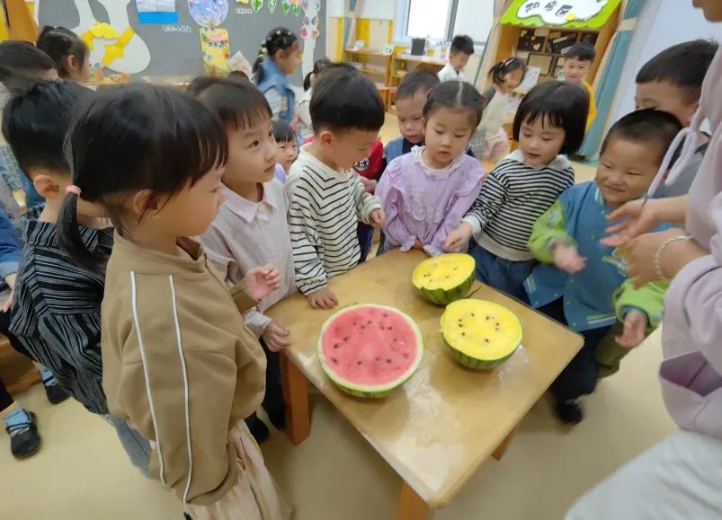 副业赚钱_【项目课程·滨江】一起吃瓜  | 小三班项目课程_副业教程