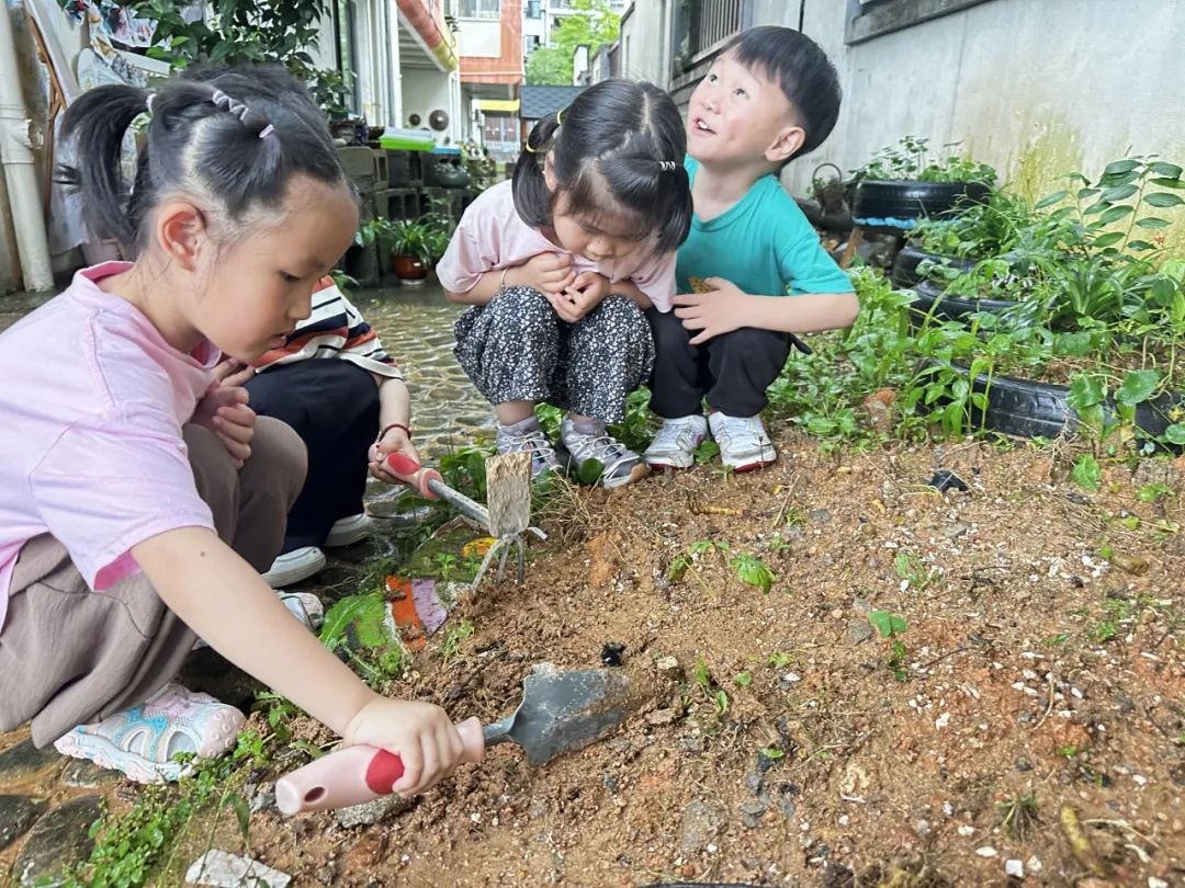 副业赚钱_【项目课程·滨江】一起吃瓜  | 小三班项目课程_副业教程