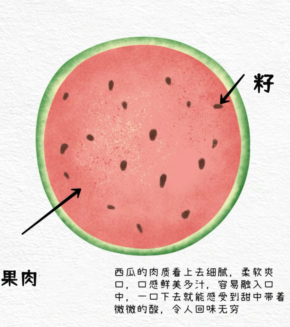 副业赚钱_【项目课程·滨江】一起吃瓜  | 小三班项目课程_副业教程