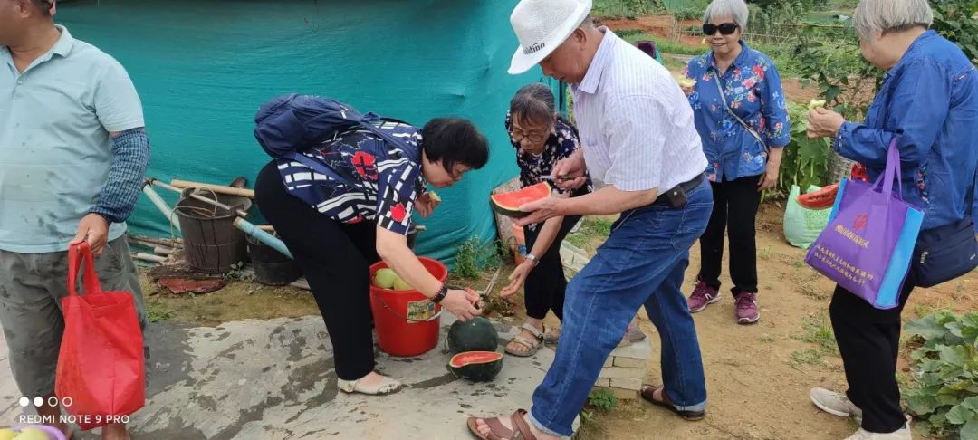 副业赚钱_狮山西瓜正热销！端午带娃一起，快乐“吃瓜”！_副业教程