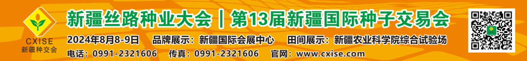 副业赚钱_70岁“瓜王”培育上百个新优品种，创收20亿元以上，多项技术全国领先！_副业教程