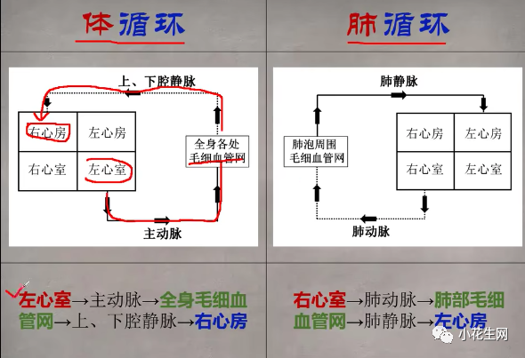 副业赚钱_我们深扒B站, 集齐各学科宝藏UP主, 带娃走出课本开阔眼界…_副业教程