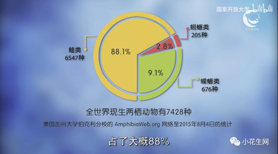 副业赚钱_我们深扒B站, 集齐各学科宝藏UP主, 带娃走出课本开阔眼界…_副业教程