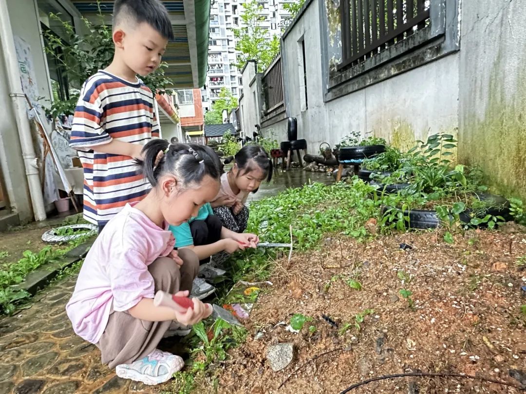 副业赚钱_【项目课程·滨江】一起吃瓜  | 小三班项目课程_副业教程