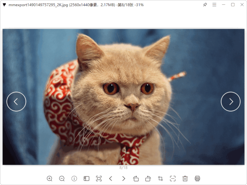 简单清爽看图软件 | 灵猫看图 (1.1.2)-咕噜噜柠檬网
