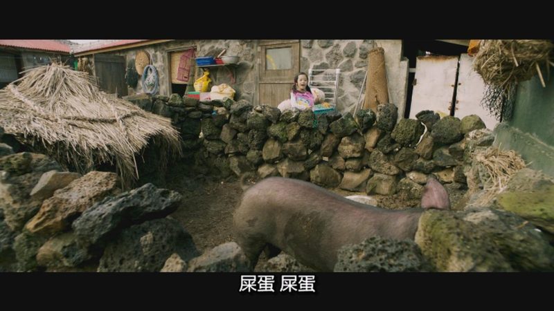 感人电影 季春奶奶 계춘할망 1080P 多语言字幕-咕噜噜柠檬网