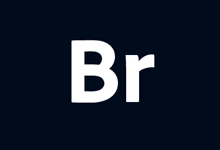 Adobe Bridge 2025 安装版（v16.0.1）-咕噜噜柠檬网