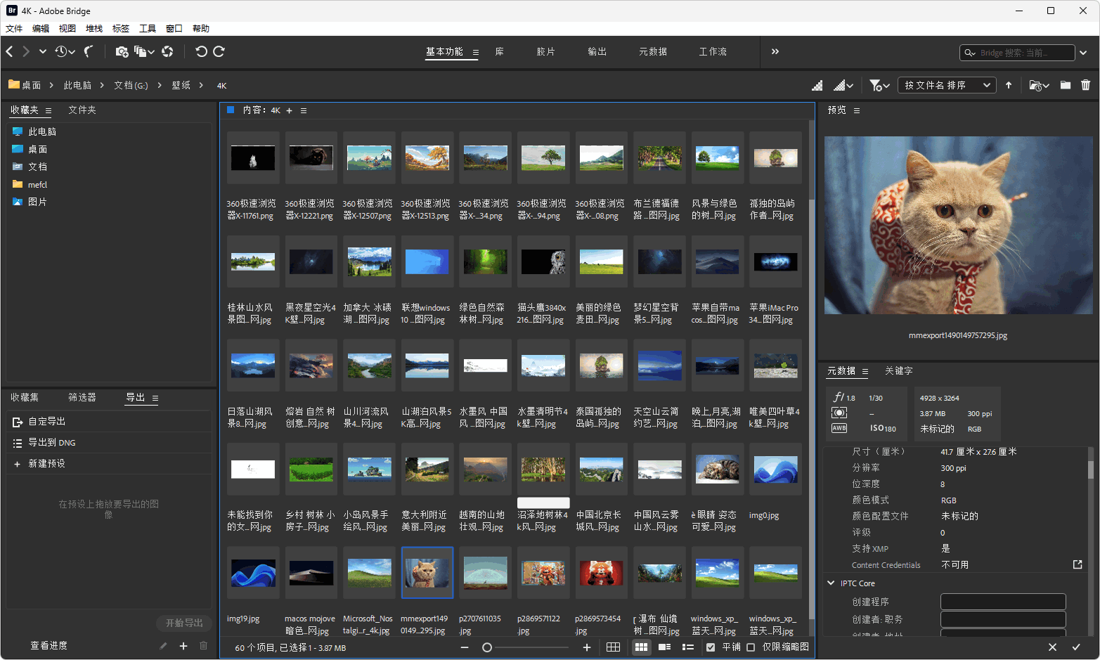 图片[2]-Adobe Bridge 2025 安装版（v16.0.1）-咕噜噜柠檬网