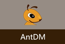 蚂蚁下载器 | Ant Download Manager（v2.17.0）-咕噜噜柠檬网