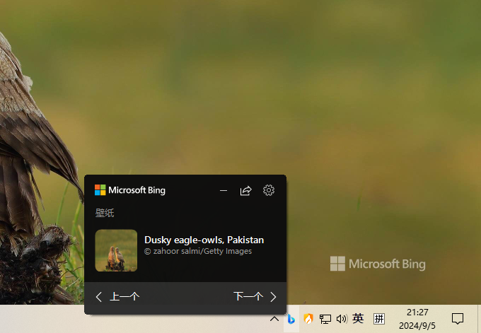 图片[2]-必应壁纸 | Bing Wallpaper（v1.1.416.0）-咕噜噜柠檬网