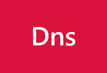 DNS快捷工具箱+轻量高性能DNS服务器(1.0.0.27)-咕噜噜柠檬网