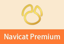 数据库管理工具 | Navicat Premium(v17.3.10.0)-咕噜噜柠檬网