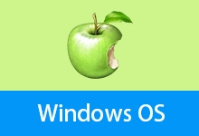 Win10 22H2 19045.6693 Pro x64 优化版 - 網傲 (20260113)-咕噜噜柠檬网