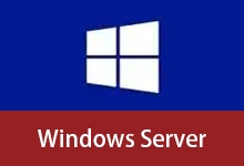 Windows Server 2008R2-2025 自制补丁集成版 - placeholder 20260102-咕噜噜柠檬网
