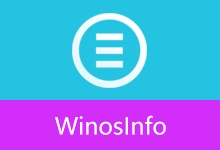 桌面硬件信息显示工具 | WinosInfo (V10.26.1.1601)-咕噜噜柠檬网