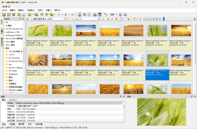 图片浏览查看工具 | XnView MP(v1.11.2.0)-咕噜噜柠檬网