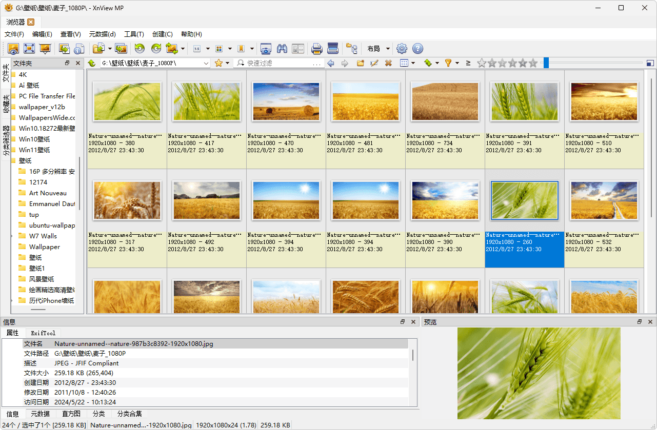 图片[1]-图片浏览查看工具 | XnView MP（v1.11.2.0）-咕噜噜柠檬网