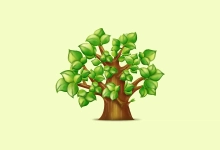 实用的软件工具箱 玥儿工具箱 | YueRTools（5.0.24.0923）-咕噜噜柠檬网