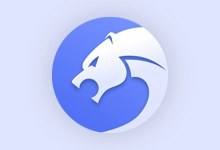 猎豹浏览器 （9.0.112.22446）-咕噜噜柠檬网