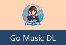 音乐搜索与下载工具 | Go Music DL (v1.0.33)-咕噜噜柠檬网